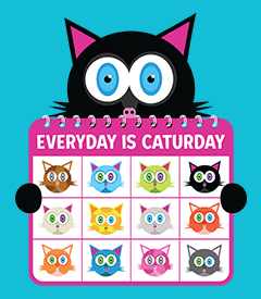 Everyday is Caturday