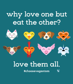 Why Love One but Eat the Other?