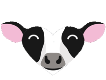 Jumping Heart Cow