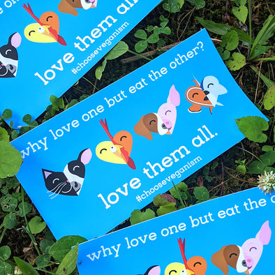 "Why Love One" Bumper Sticker