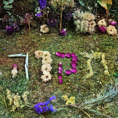 Tikvah - Artists Against Antisemitism