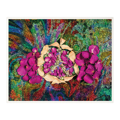 Pomegranates Abstract - Rimonim - Dried Flowers Judaica Photo Art Print, Jewish Wall Art