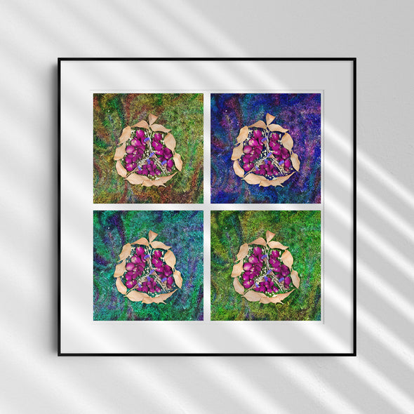 Pomegranate 2x2 - Rimon - Dried Flowers Judaica Photo Art Print, Jewish Wall Art