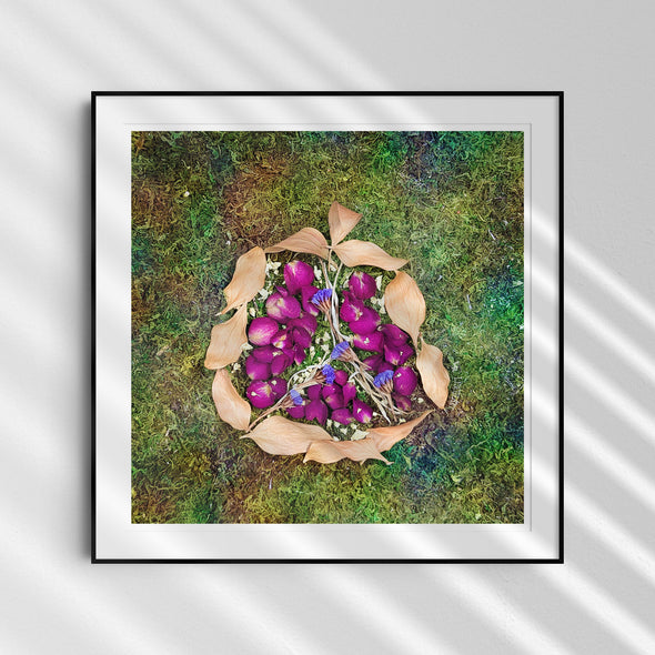 Pomegranate - Rimon - Dried Flowers Judaica Photo Art Print, Jewish Wall Art