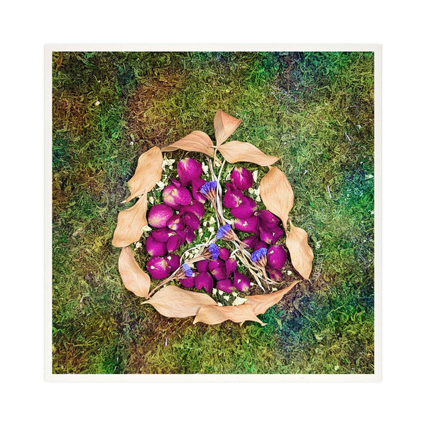 Pomegranate - Rimon - Dried Flowers Judaica Photo Art Print, Jewish Wall Art