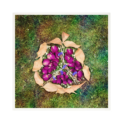 Pomegranate - Rimon - Dried Flowers Judaica Photo Art Print, Jewish Wall Art