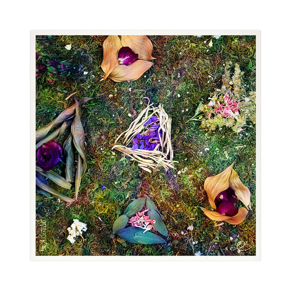 Hamantaschen - Purim - Dried Flowers Judaica Photo Art Print, Jewish Wall Art