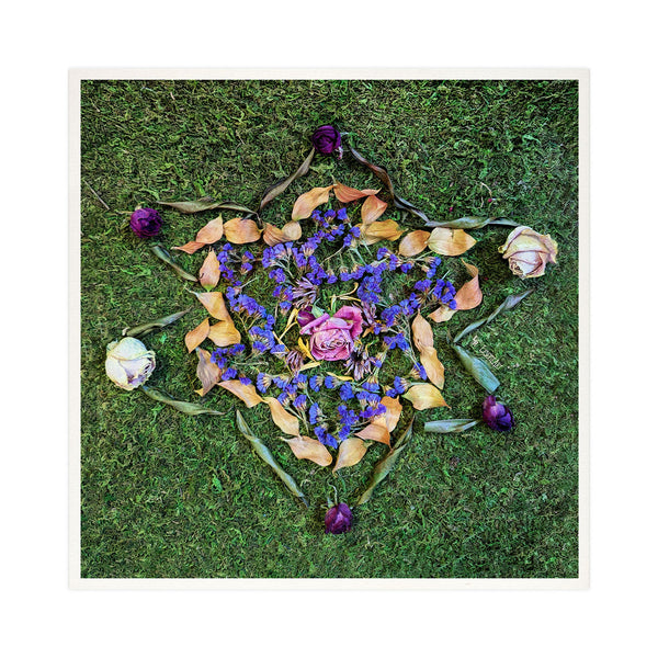 Magen David - Star of David - Dried Flowers Judaica Photo Art Print, Jewish Wall Art