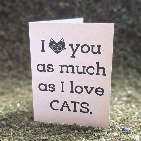 "I love you as much as I love CATS" Funny Valentine's Day Card, Recycled Anniversary Card