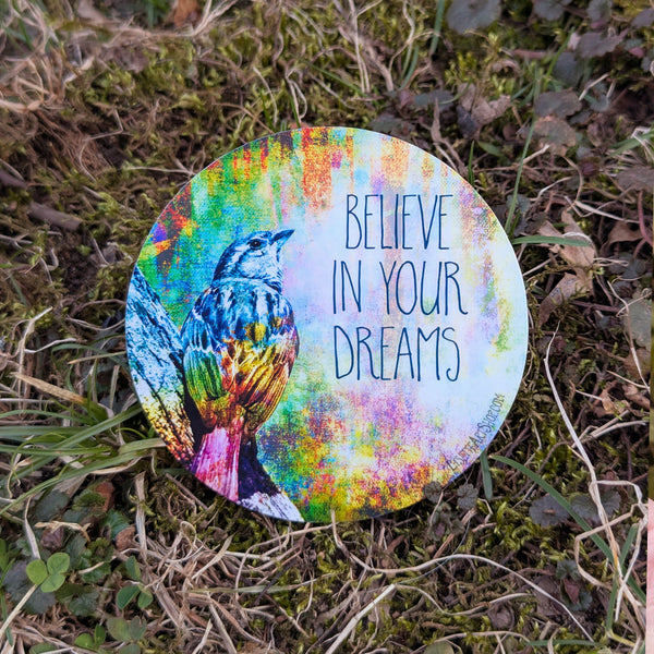 Believe in your Dreams