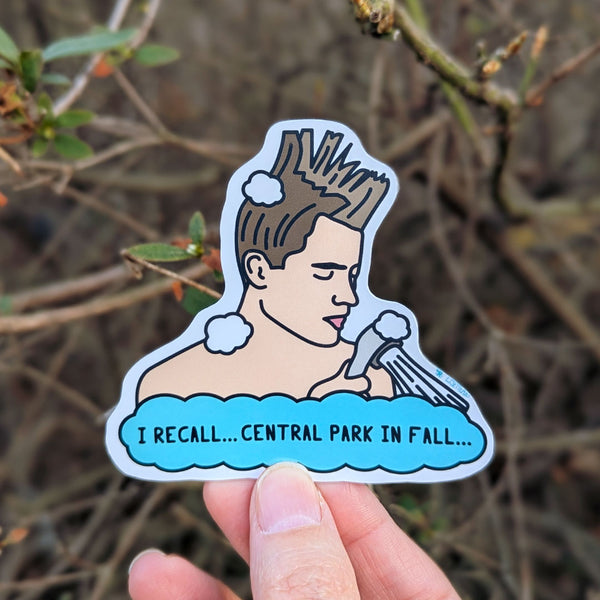 Shower Ferris