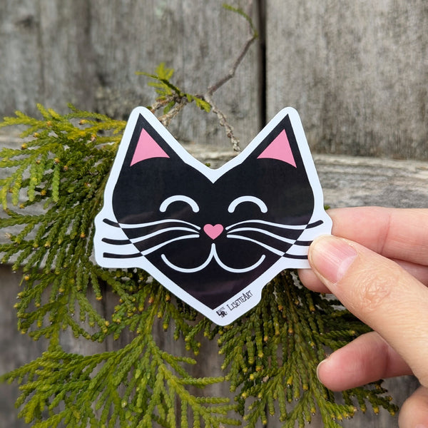 Black Cat Heart