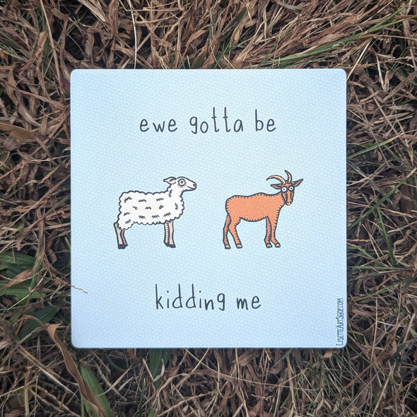 "ewe gotta be kidding me" Punny Animals Square Stone Coaster