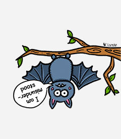 Misunderstood Bat