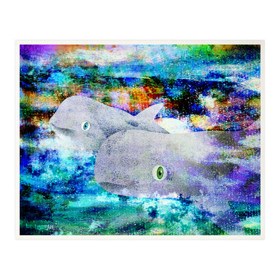 "We Want To Live Free - Keep the Cove Blue" Risso Dolphins Fine Art Print